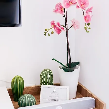 アパートホテル Oliva Homes 4*