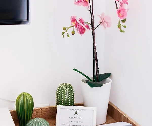 Apart-hotel Oliva Homes 4*